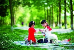 青草在线观看视频,探寻自然之美，共赏生态盛宴